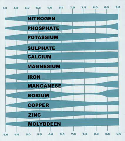 Tabla de pH detallada para cultivo